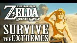 'How to Survive Extreme Environments In Zelda: Breath of the Wild'