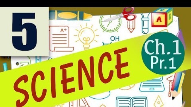 'class 5 science lesson no 1 food and health part 1'