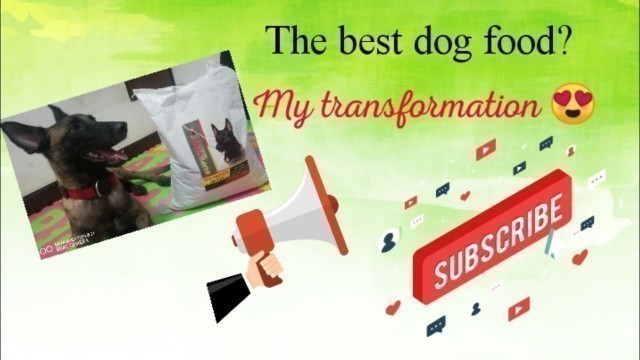 'What is the best dog food ( hershey\'s transformation) SDN reviews'