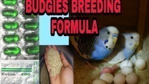 'Budgies, Love Birds, Cocktiels, Finches Birds Breeding Formula 100% confirm || Evion Capsule 200mg |'