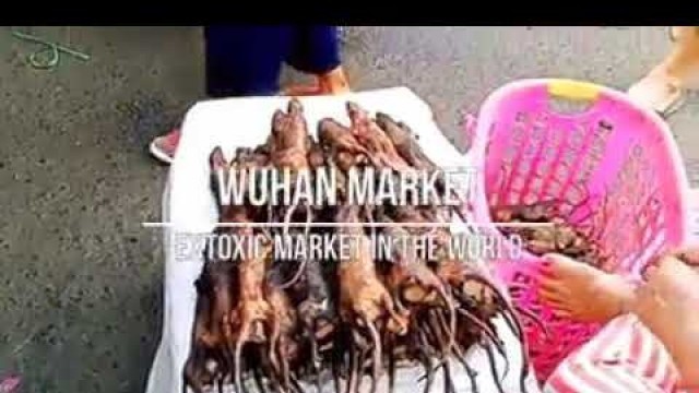 'Birth of Corona virus (Wuhan exotic market)  #coronavirus #China #Wuhan #USA #india'