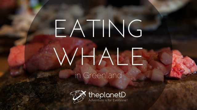 'Eating Whale in Greenland | Food Travel Vlog'