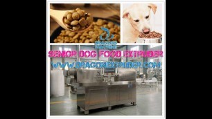 'Health Senior Dog Food Extruder Dry Pet Feed Making Machine (Extruder) Fish Feed Twin Screw Extruder'