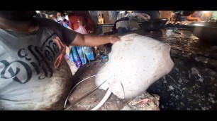 'Amazing Cutting Skills | Giant Carp Fish Cleaning & Cutting - Madurai Street Food'