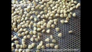 'Fully Automatic Dry Pet Food Cat Dog Treat Processing Machinery'