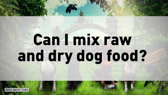 '15 Can I mix raw and dry dog food'