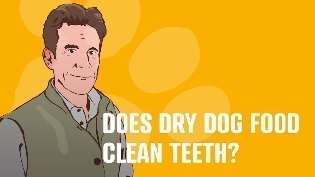 'Does Dry Dog Food Clean Teeth? Nick The Vet Answers'