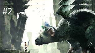 'The Last Guardian - SAD gaming #2: What food group are barrels in?'