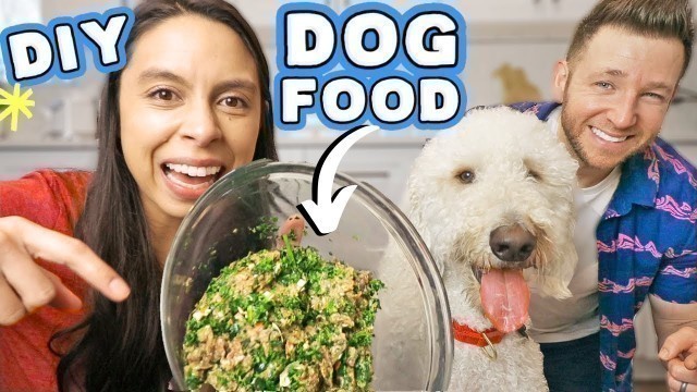 'HOMEMADE DOG FOOD RECIPE 