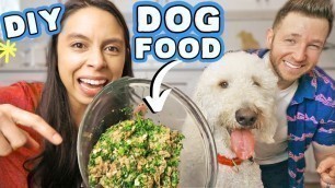 'HOMEMADE DOG FOOD RECIPE 