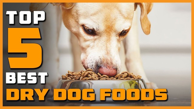 'Top 5 Best Dry Dog Foods Review in 2022'