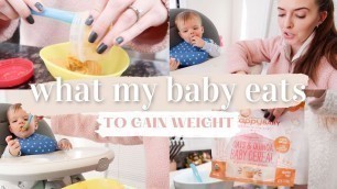 'WHAT MY BABY EATS IN A DAY TO GAIN WEIGHT | EASY WEIGHT GAIN BABY FOOD IDEAS | KAYLA BUELL'