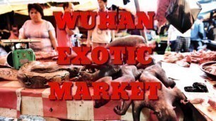 'wuhan market exotic animals - coronavirus'