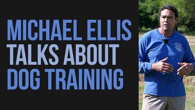 'Michael Ellis Talks About Dog Training'