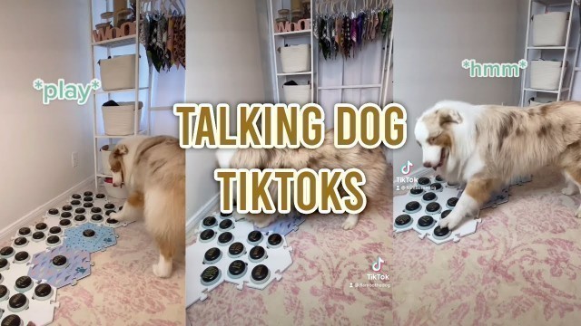 'DOG TALKS TO OWNER USING BUTTONS | Talking dog Tiktok compilation'