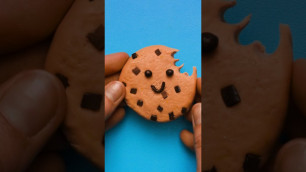 'CUTE CHOCOLATE CHIP CLAY COOKIE 