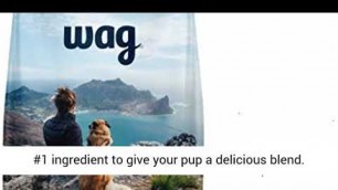 'Wag Dry Dog Food, 35% Protein, No Added Grains Review'