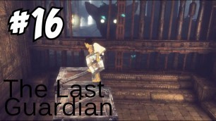 'HOW MUCH FOOD DOES TRICO NEED??? - THE LAST GUARDIAN GAMEPLAY / WALKTHROUGH (Episode 16)'