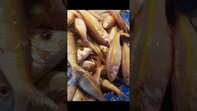 'Tuna Fish Cutting - Madurai Street Food'