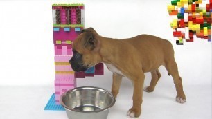 'Lego Misty: Puppy Dog Food Machine 2 by Misty Brick.'