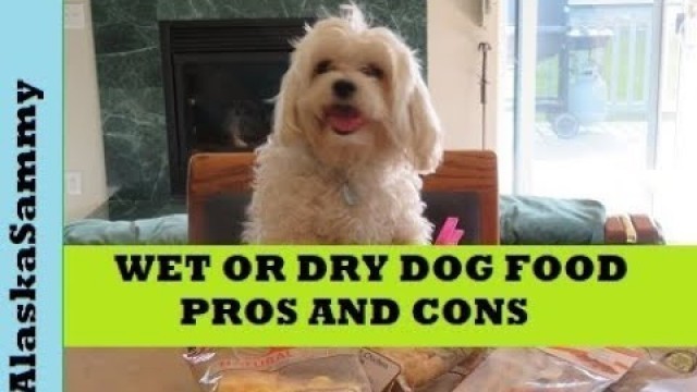 'Wet or Dry Dog Food Pros Cons'