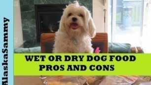 'Wet or Dry Dog Food Pros Cons'