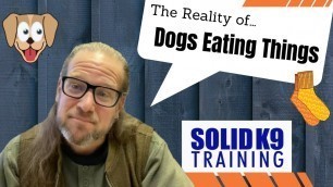 'Jeff Talks - The Reality of Dogs Eating Unwanted Things and Going to ER - Solid K9 Training (2021)'