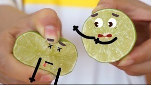 'Doodles Real Life | Cute Food Lemon #4'