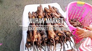 'Wuhan Market - Inside The Most Exotic Marketing in the World'