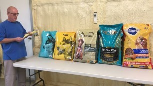 'What Dry Dog Food Should I Feed to My American Bully Dog ?'