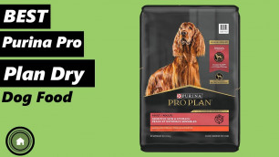 'Top 5 Best Purina Pro Plan Dry Dog Food'