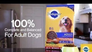 'Pedigree Adult Dry Dog Food, Chicken Flavor, All Bag Sizes'