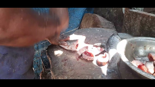 'Alive Tuna Fish Cutting - Madurai Street Food'