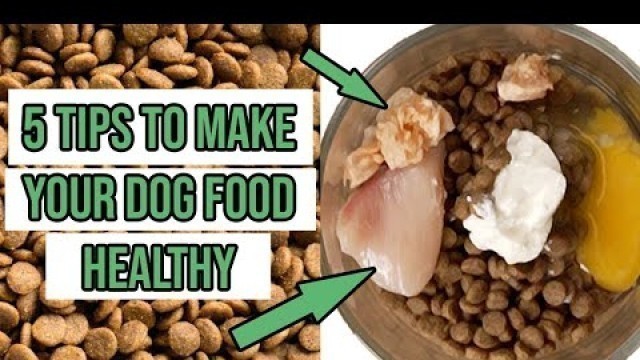 'how to make dry dog food healthier 5 tips'