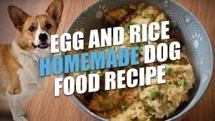 'Egg and Rice Homemade Dog Food Recipe (Cheap and Healthy)'