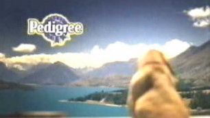 '2000 Pedigree Dry Dog Food Commercial'