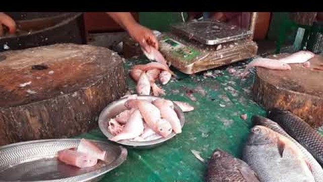 'MADURAI Food Tour - Therku vasal fish market by Madurai Street Food'