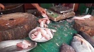 'MADURAI Food Tour - Therku vasal fish market by Madurai Street Food'