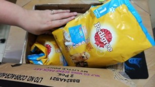 'Lazada Buys: Pedigree Weaning Formula Dry Dog Food'