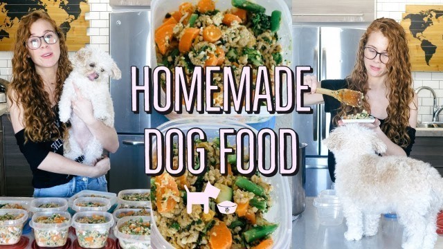 'HOMEMADE + HEALTHY DOG FOOD RECIPE | COOKING FOR YOUR DOG