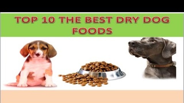 'TOP 10 BEST DRY DOG FOOD BRAND !'