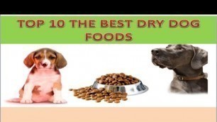 'TOP 10 BEST DRY DOG FOOD BRAND !'