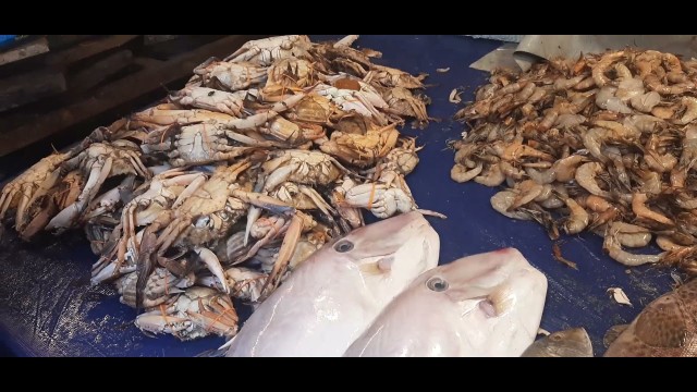 'Amazing Cutting Skills | amazing fish | Madurai Street Food'