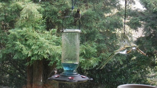 'Guardian of the Food'