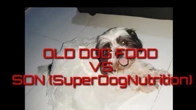 'short film of old dogfood vs. SDN (SuperDogNutrition)'