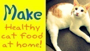 'How to make healthy cat food at home'