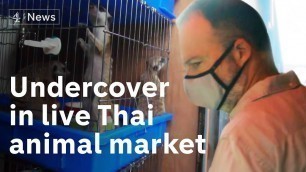 '\'Another Wuhan in the making?\': Undercover in a Thailand market selling live animals'